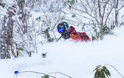 Erster Stop: 3 Wochen freeriden in Niseko, Japan