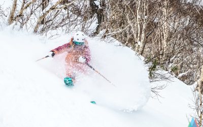 Skiing powder in Niseko